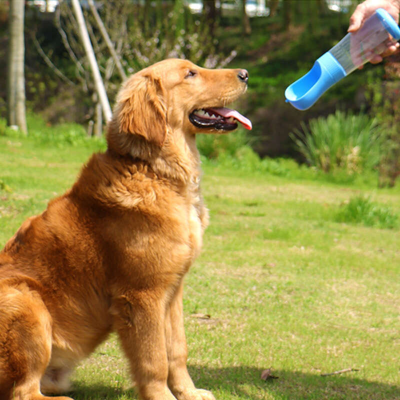Outgoing Portable Accompanying Cup, Walking Dog Water Bottle, Pet Drinking Feed Water, And Drinker Supplies