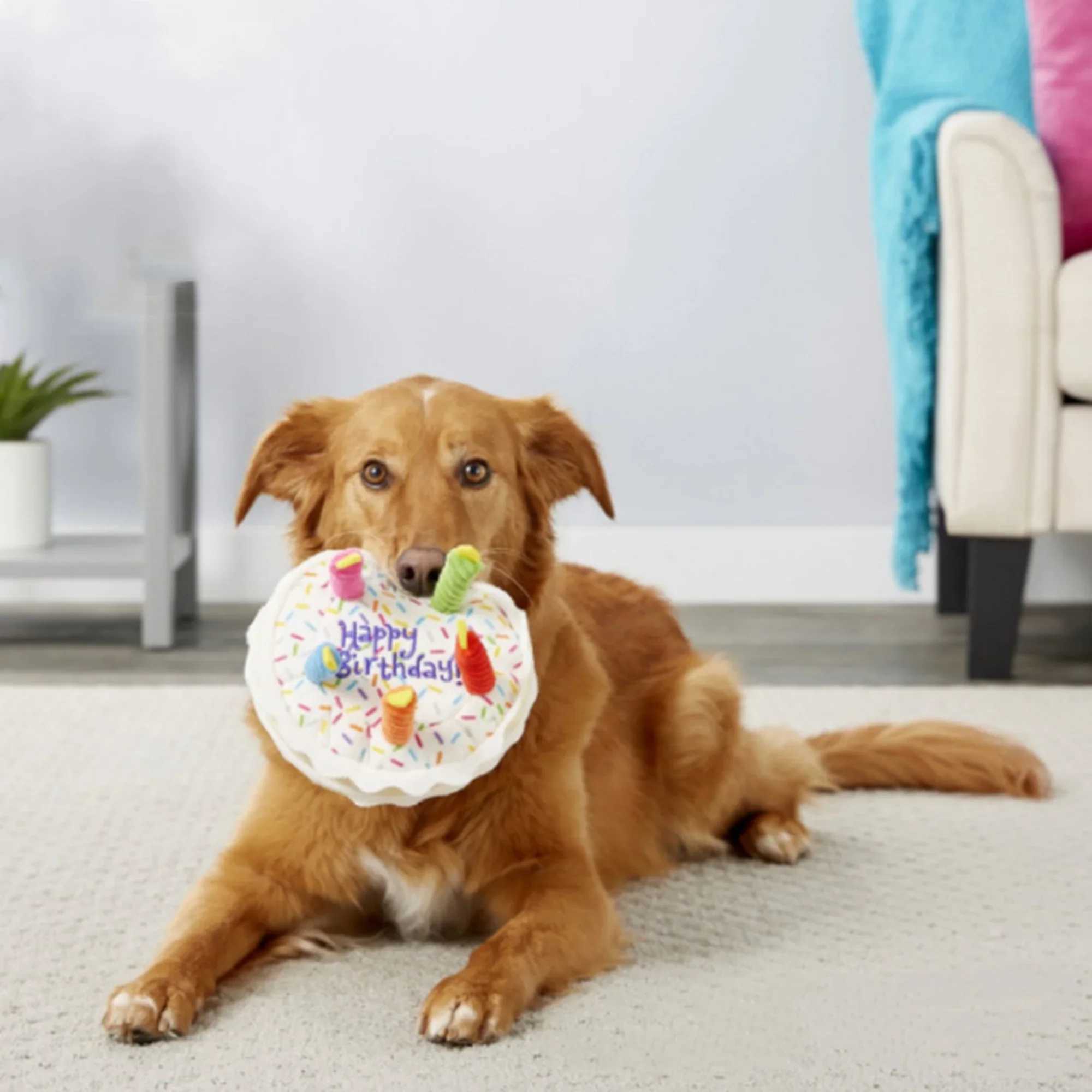 Others Dog Toys Chews Dog Birthday Cake Toy Soft Plush Squeaky with Colorful Candles Durable Funny Stuffed Chew for Large Breeds Birthday Gift scarf H