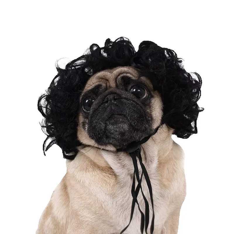 Others Dog Toys Chews Pet Wig Cat Wig Cosplay Props Curly Hair Straight Hair Pet Supplies Creative Photography Funny Prank Gifts Dog Puppy 7-color H25