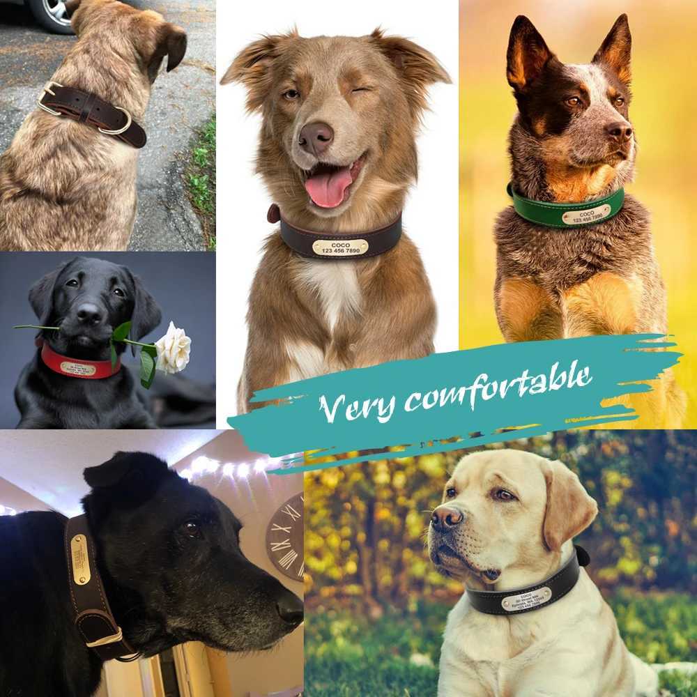 Dog Harnesses Genuine Leather Dog Collar Personalized Dog Nameplate Collars Pitubull German Shepherd Large Dogs Tag Collars Rich Brown H250217