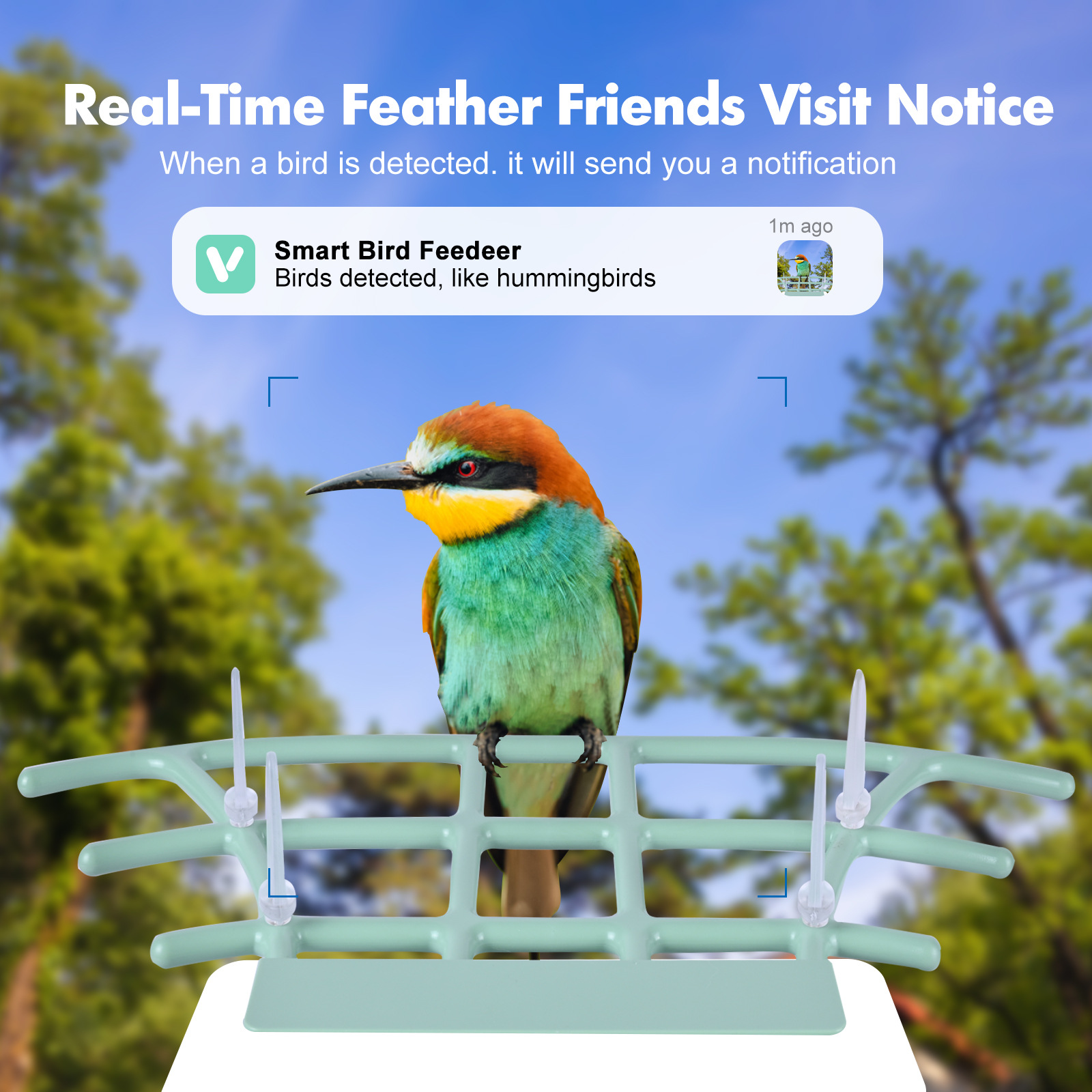 Outdoor Waterproof Bird Camera for Monitoring - Integrated Smart Recognizer & Solar Charging