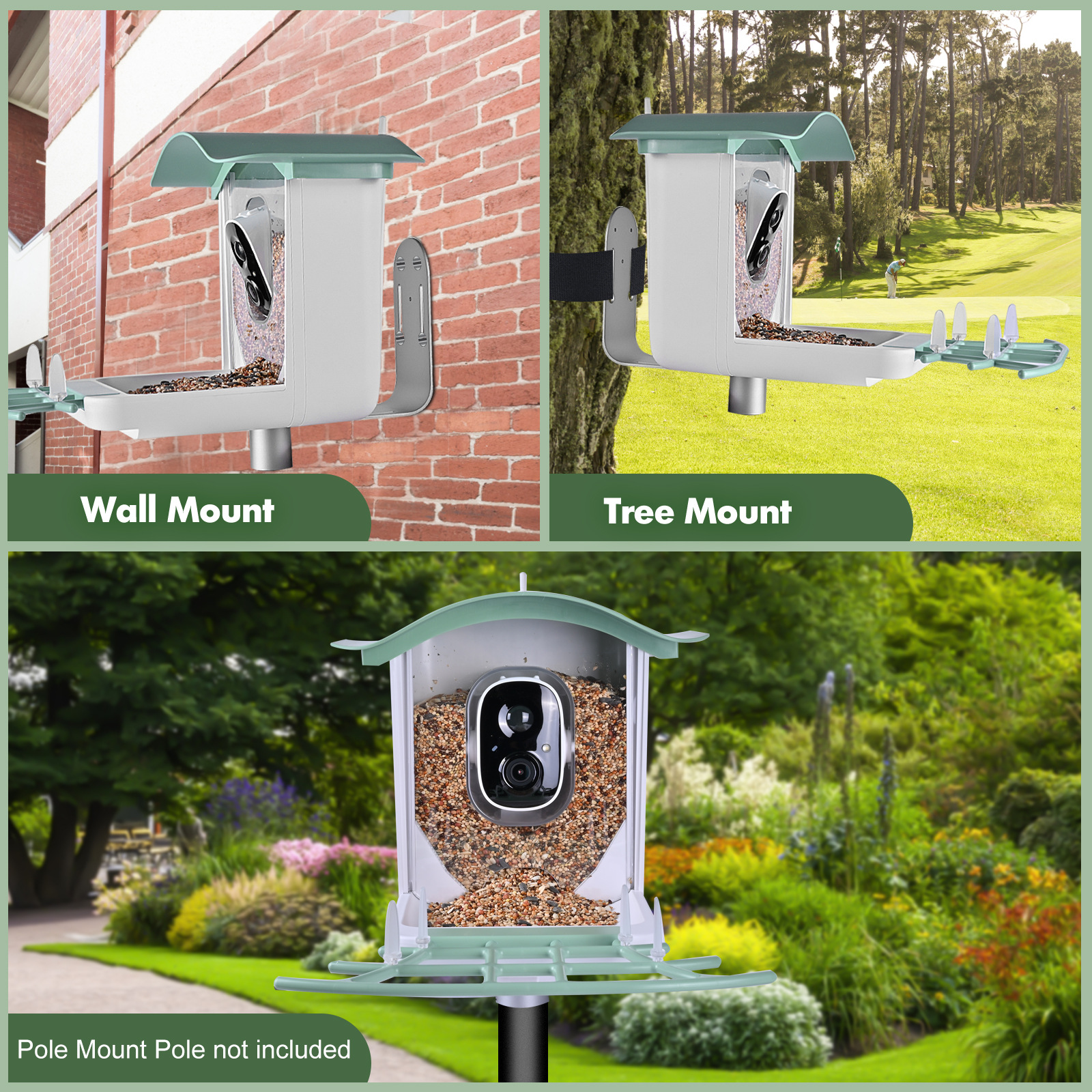 Outdoor Waterproof Bird Camera for Monitoring - Integrated Smart Recognizer & Solar Charging