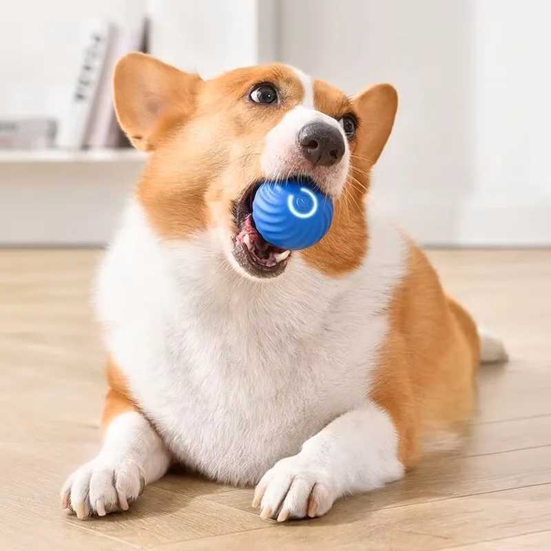 Others Dog Toys Chews Dog Toys Intelligent Gravity Jump Ball Rechargeable Bite-Resistant Rolling Ball Cat And Dog Chase Interactive Pet Toys H250217