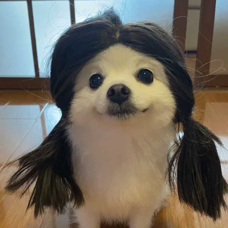 Others Dog Toys Chews Pet Wig Cat Wig Cosplay Props Curly Hair Straight Hair Pet Supplies Creative Photography Funny Prank Gifts Dog Puppy 7-color H25