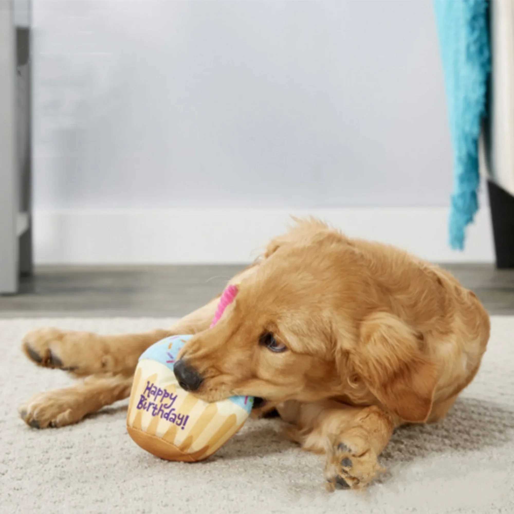 Others Dog Toys Chews Dog Birthday Cake Toy Soft Plush Squeaky with Colorful Candles Durable Funny Stuffed Chew for Large Breeds Birthday Gift scarf H