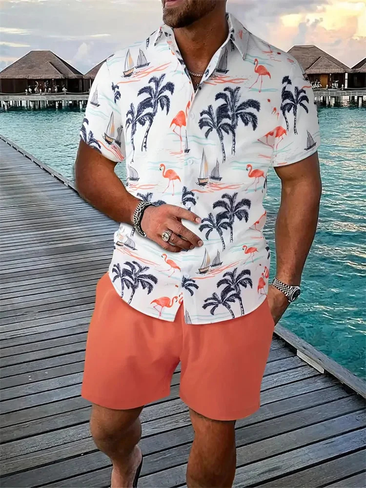 Summer Beach Style Mens Shirt Set Oversized Hawaiian Casual Suit 3d Printed Short Sleeve Shirt Shorts 2 Pcs Fashion Streetwear 250217