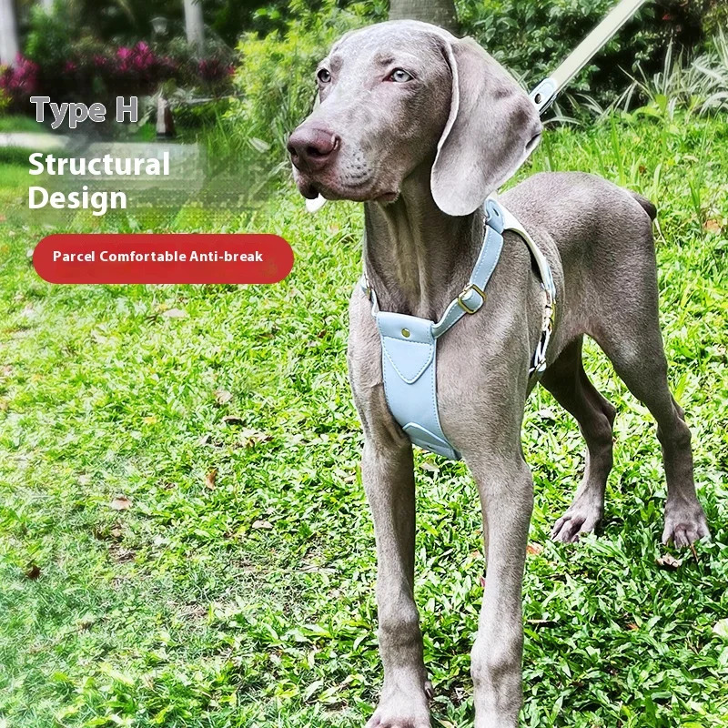 Loudik High-Grade Leather Pet Chest Harness Dog Leash Collar With Carabiner Explosion-Proof Punch Pet Training Supplies 250218