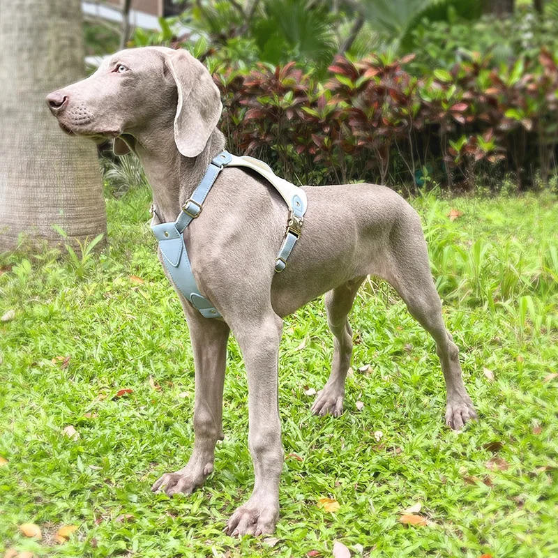 Loudik High-Grade Leather Pet Chest Harness Dog Leash Collar With Carabiner Explosion-Proof Punch Pet Training Supplies 250218