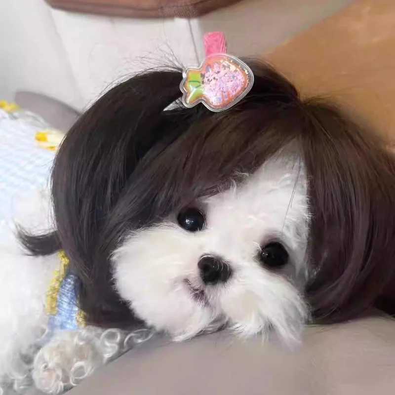 Others Dog Toys Chews Pet Wig Cat Wig Cosplay Props Curly Hair Straight Hair Pet Supplies Creative Photography Funny Prank Gifts Dog Puppy 7-color H25