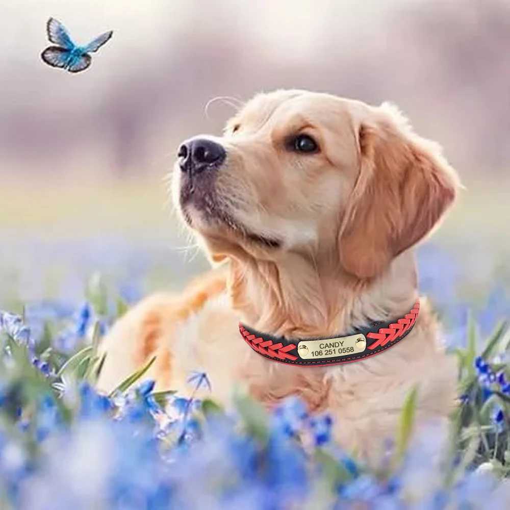 Dog Harnesses Personalized Dog Collar Leather Padded Dogs Braided Collars Free Engraving Pet ID Tag Nameplate for Small Medium Large Dogs H250217