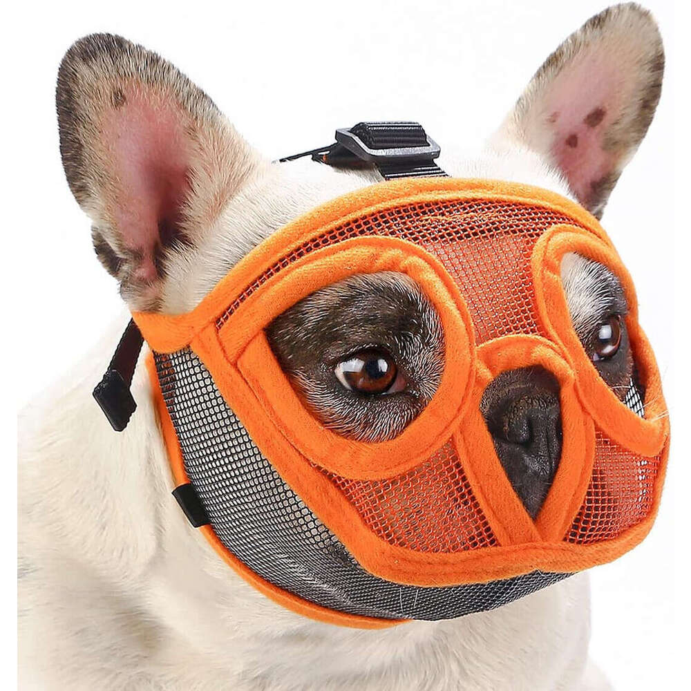 Dhpet bulldog Muzzle French Bulldog English Bulldog Pet Dog Muzzle Short Mouth Dog Anti-bite And Anti-eating Mask