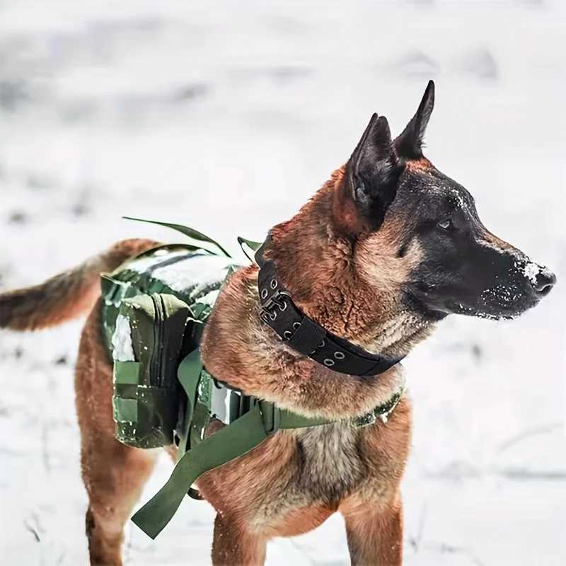 Comfort-Fit Heavy-Duty Nylon Dog Collar-Adjustable Padded For Training Walking Perfect for Medium Large Dogs W250219