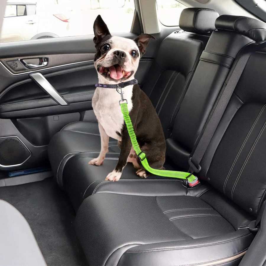 Pet supplies car seat belts dog leashes retractable cushioning elastic reflective safety ropes dog leashesXJ250218