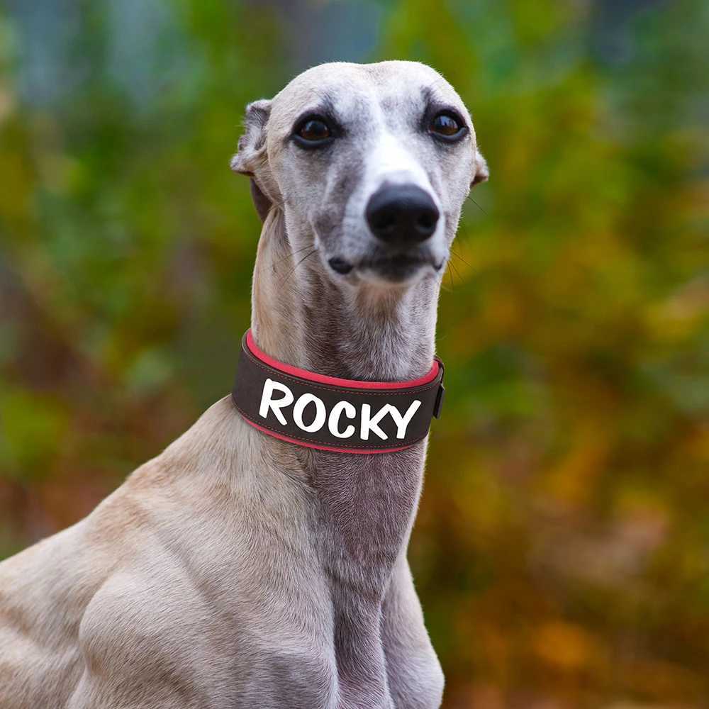 Customized Leather Dog Collar Personalized Wide Padded ID Collars Free Print Name Number For Medium Large Dogs Greyhound W250219