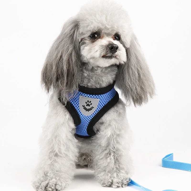 Breathable Mesh Cat Small Dog Harness And Leash Set Adjustable Cat Harnesses Puppy Harness Vest For French Bulldog Chihuahua PugXJ250218