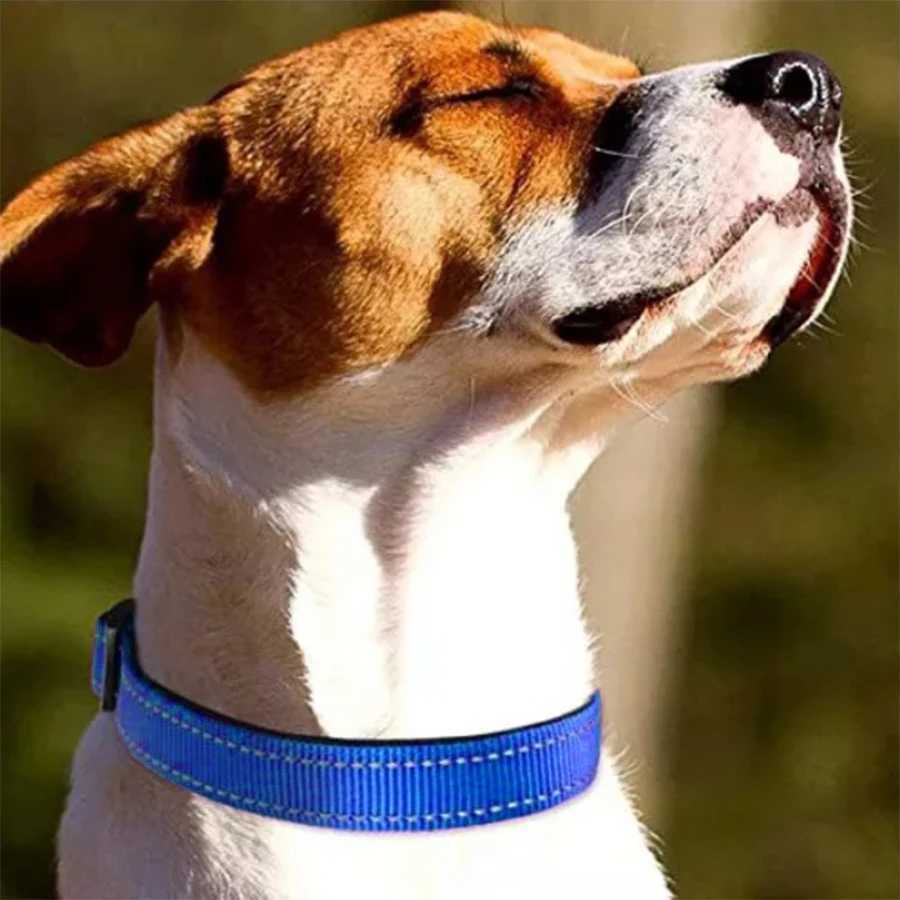Reflective dog collar cushion breathable safety strip adjustable cute little dog pet necklace suitable for small medium and large dogs W250219