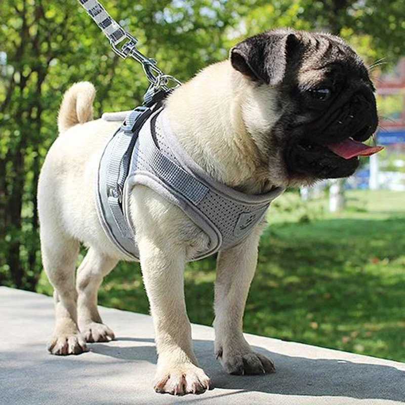 Vest Harness Leash Adjustable Mesh Vest Dog Harness Collar Chest Strap Leash Harnesses With Traction Rope XS/S/M/L/XLXJ250218