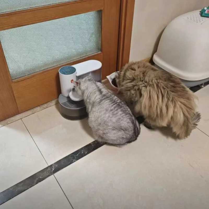 Dog Feeders Smart Dump Cat Water Dispenser Running Water Rechargeable Automatic Water Dispenser For Pet Dogs H250218