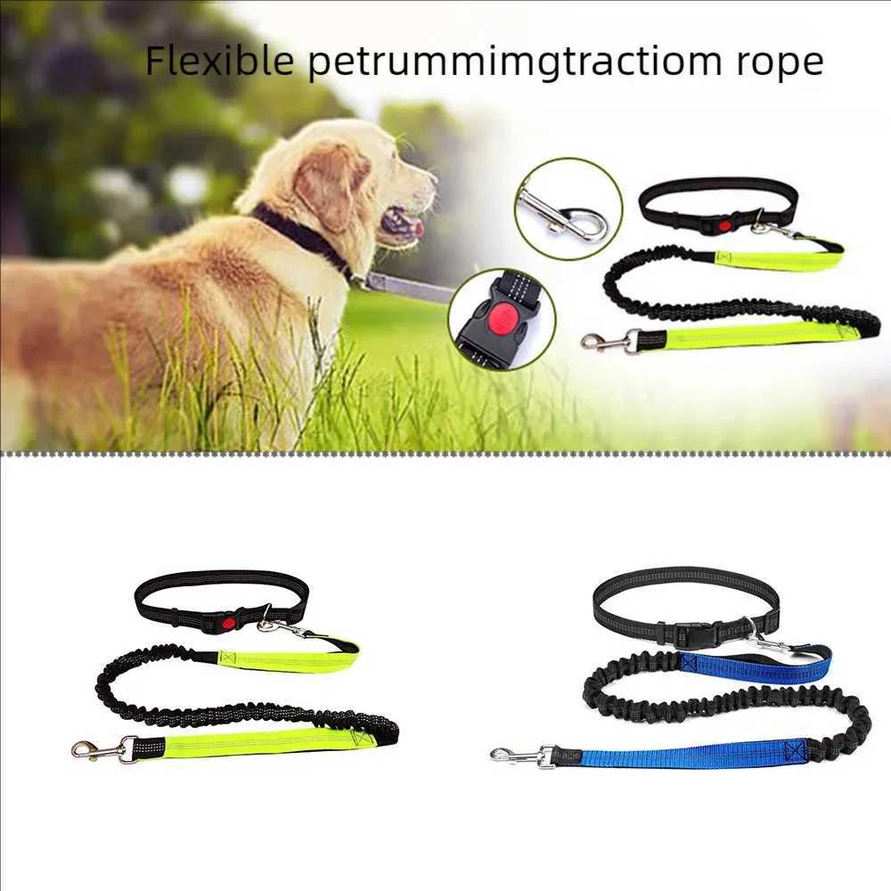 Reflective Leash Traction Rope Pet Dog Running Belt Elastic Hands Freely Jogging Pull Dog Leash Metal D-ring Leashes HarnessXJ250218
