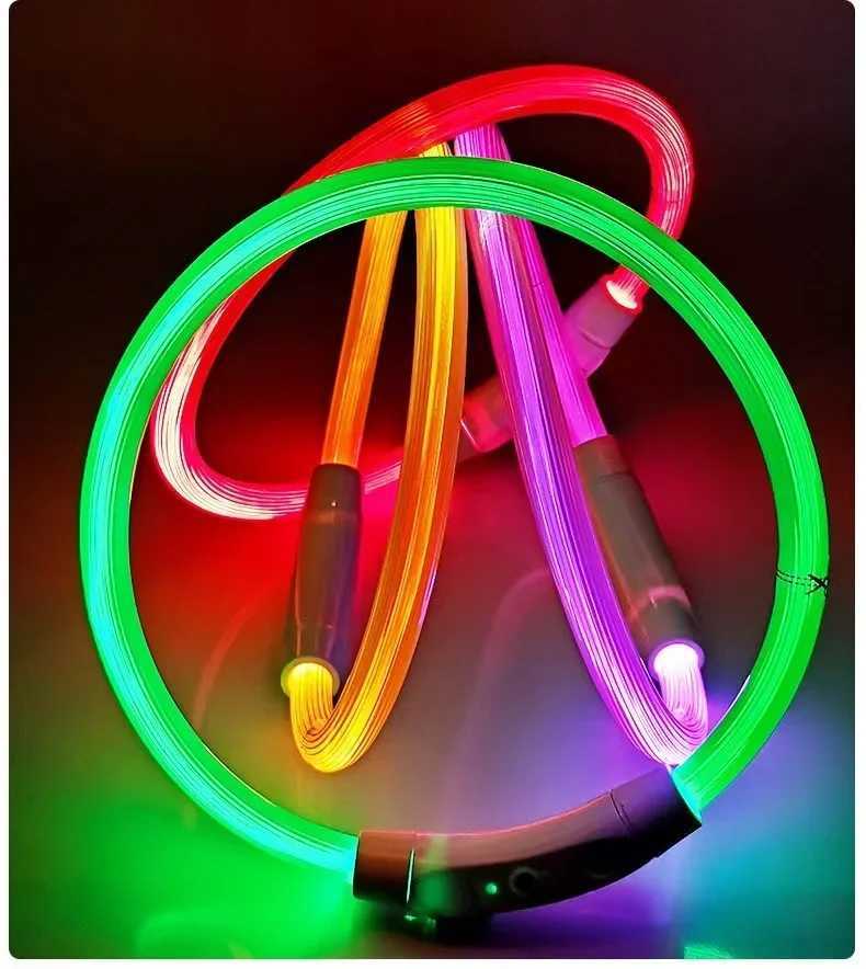 Pet dog LED light collar lights up anti loss dog collar USB charging dog collar W250219