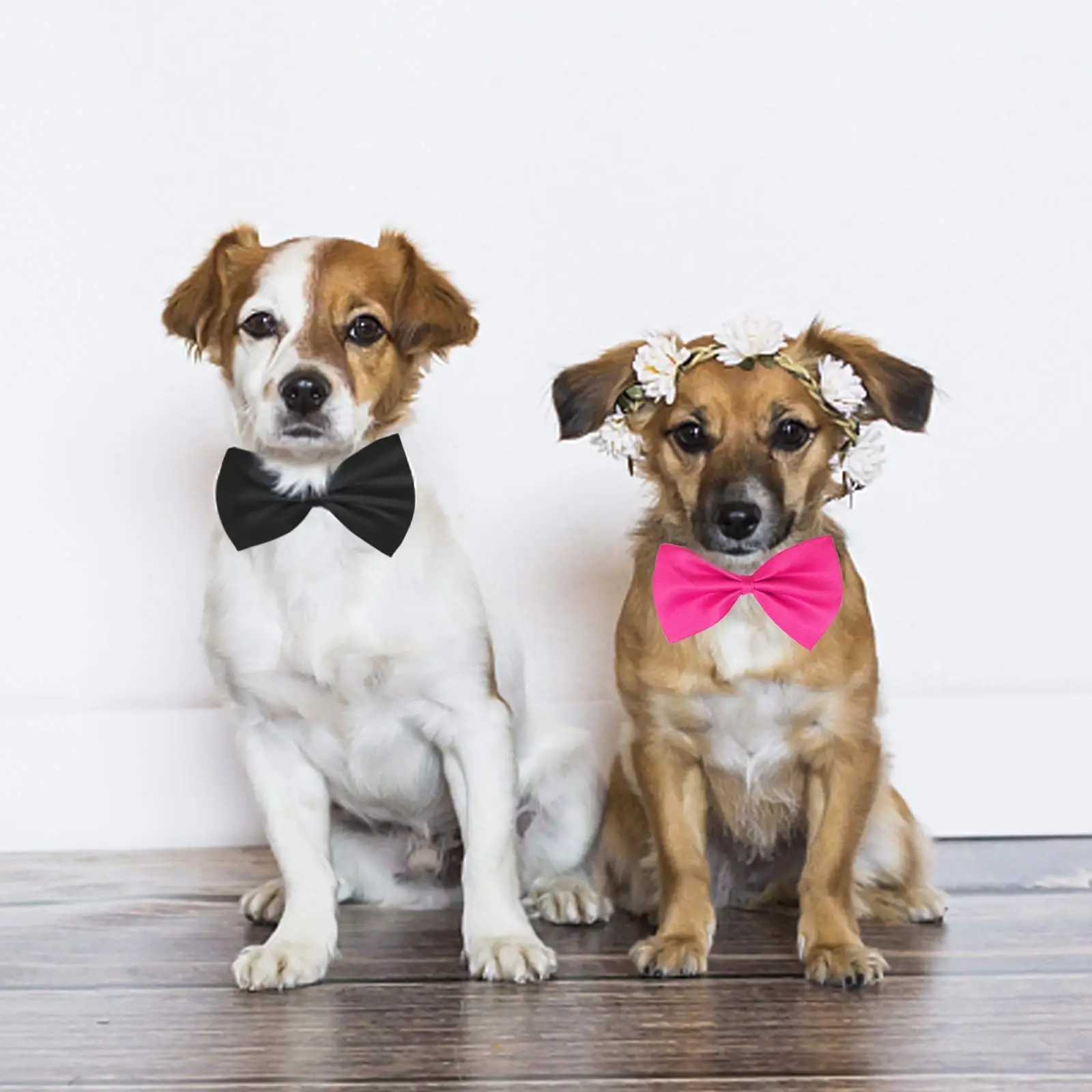 50/100 pieces dog bow mixed color wholesale pet beauty accessories rabbit cat dog bow tie adjustable bow pet products W250219