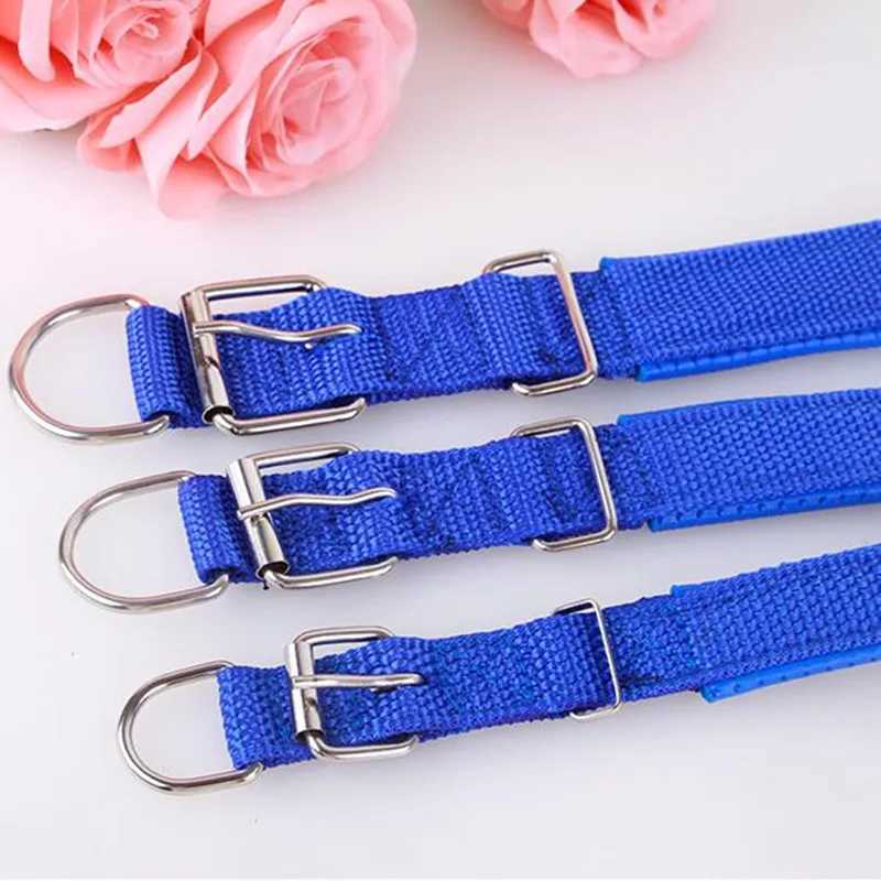 Adjustable nylon dog collar suitable for small dogs puppies pet accessories leather collars for dogs Husky collars for golden retrievers W250219