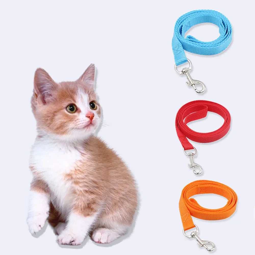 Nylon Dog Leash for Small Dogs and Cats 1.5*120cm Colorful Pet Puppy Kitten Collar Lead Strap Belt for Running Training WalkingXJ250218