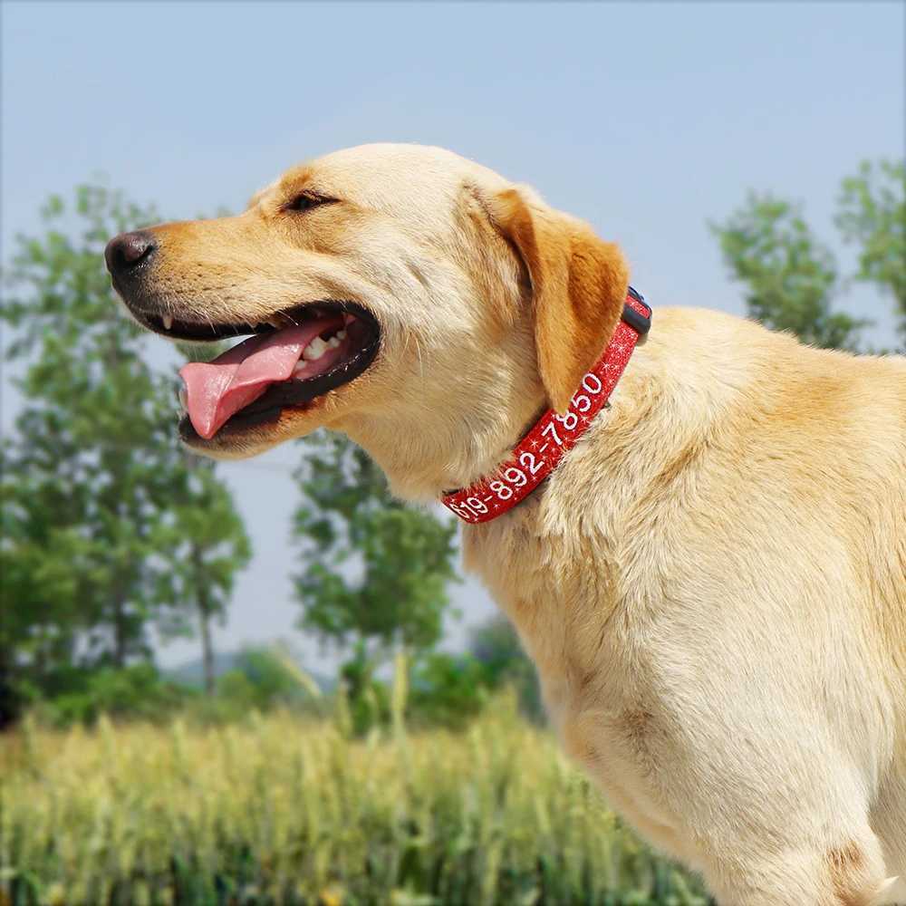 Adjustable Nylon Embroidered Dog Collar Custom ID Name Accessories Pet Collars For Small Medium Large Dogs Pets Supplies PerroXJ250218