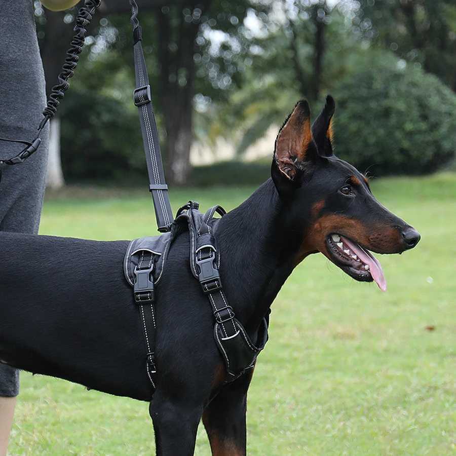 Elastic buffering explosion-proof flushing multifunctional dog walking chain dog traction rope pet supplies running ropeXJ250218