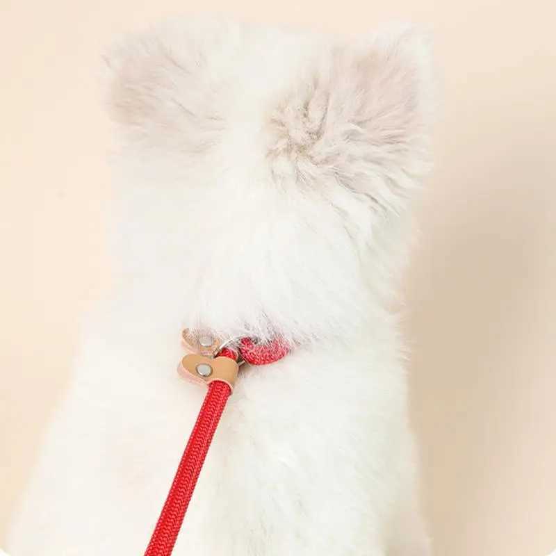 Dog Slip Lead Anti-Wear Comfortable Slip Leashes Training 1.5m Woven Lead Rope Dog Accessories For Dog Walking Training RunningXJ250218