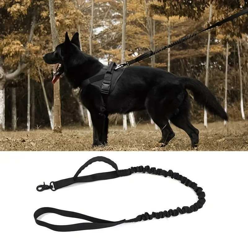 Dog Tactical Leash Outdoor Training Dog Leash 1000D Nylon Elastic LeashXJ250218