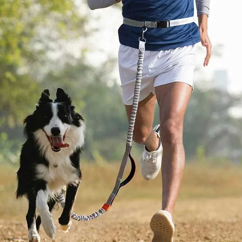 Retractable Hands Free Dog Leash for Running Judge Leash Large Dog Pet SuppliesXJ250218