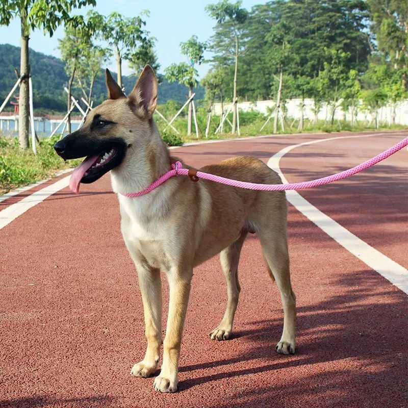 Dog Collar Slip Lead Dog Leash Nylon Solid Rope Leash Adjustable No Pull Training Dog Leash Medium And Large Dogs Pet LeashesXJ250218