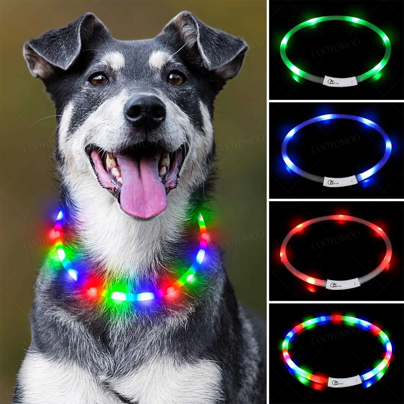 4 Modes Dog Luminou Charge Collar Led Usb Cat Silicone Colorful Collars Cuttable Night Glow Pet Loss Prevention Dogs Accessories W250219
