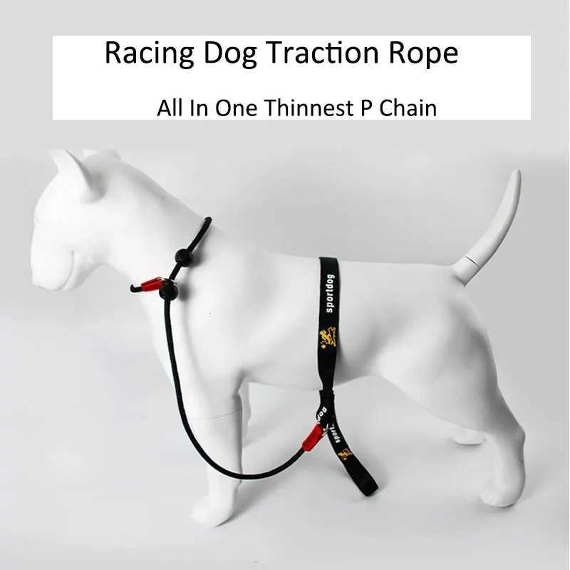 Training Dog Choking Rope Leash 2 in 1 Lead Collar 150cm P-Shaped Chain Slip Lead Control Leash for Small Large Competition DogsXJ250218