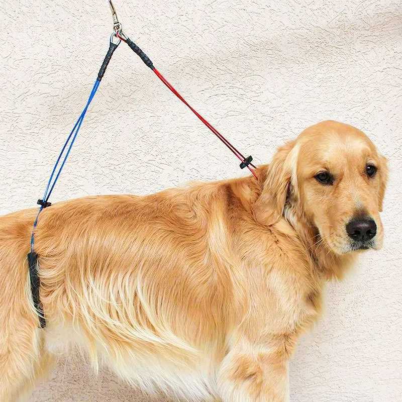 Adjustable Pet Dog Cat Grooming Loop Table Pet Grooming Leash Table Loop D-rings Bathing Strap Traction Belt Dog Collar HarnessXJ250218