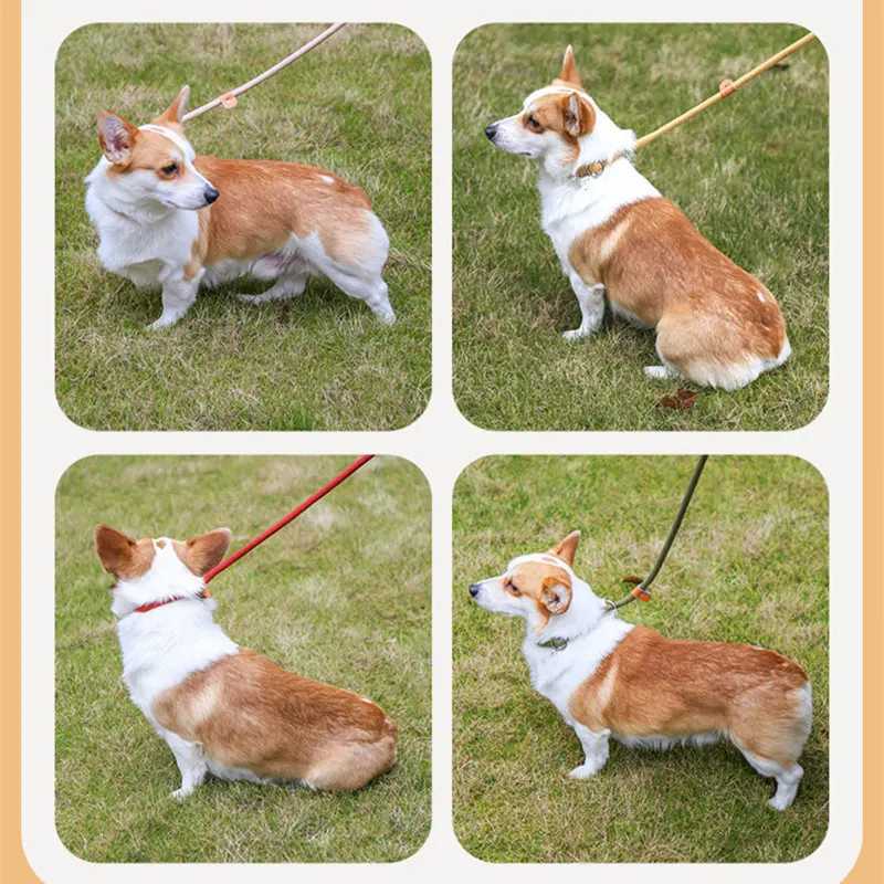 Dog training collar anti riot nylon hand P rope extended thickened unbreakable hand training dog round rope large dog P chainXJ250218