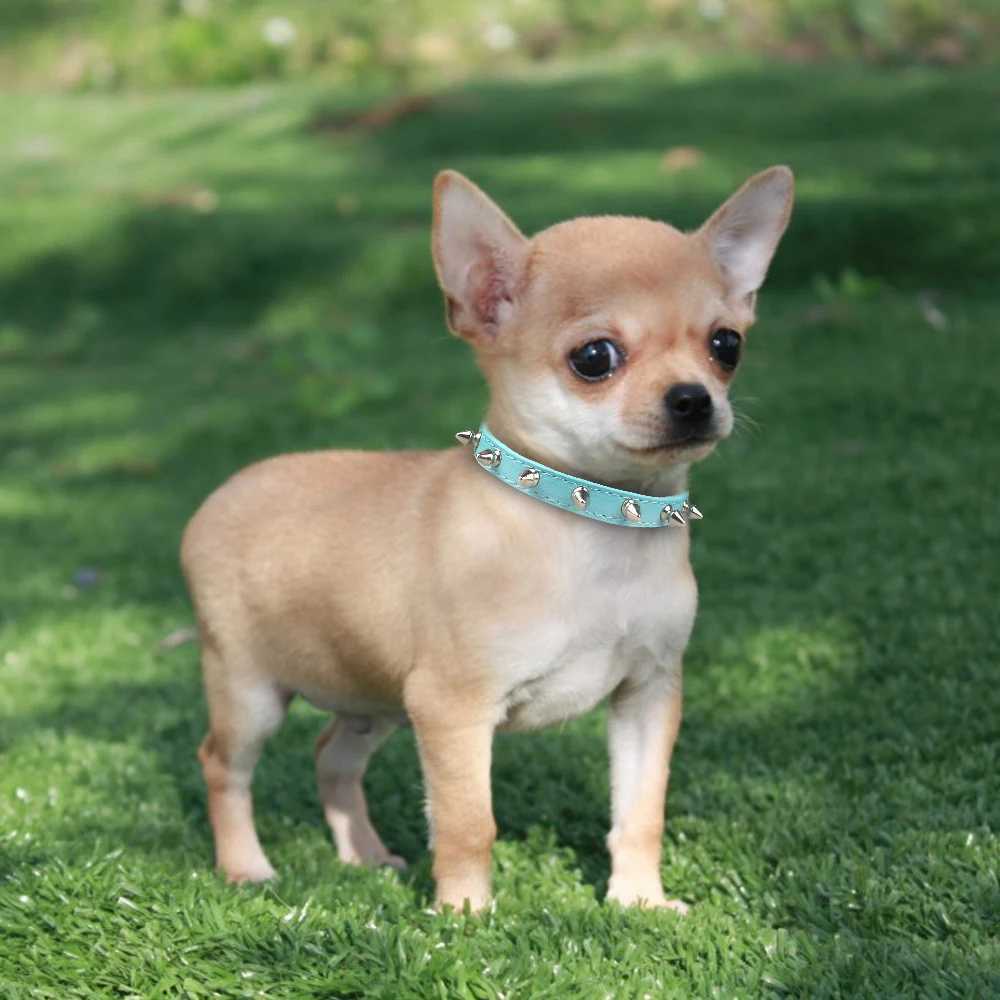 Spiked Dog Collar for Small Breed Dogs One Row Studded Leather Pet Collar Anti-Bite Neck Strap for Puppies Adjustable Cat Collar W250219