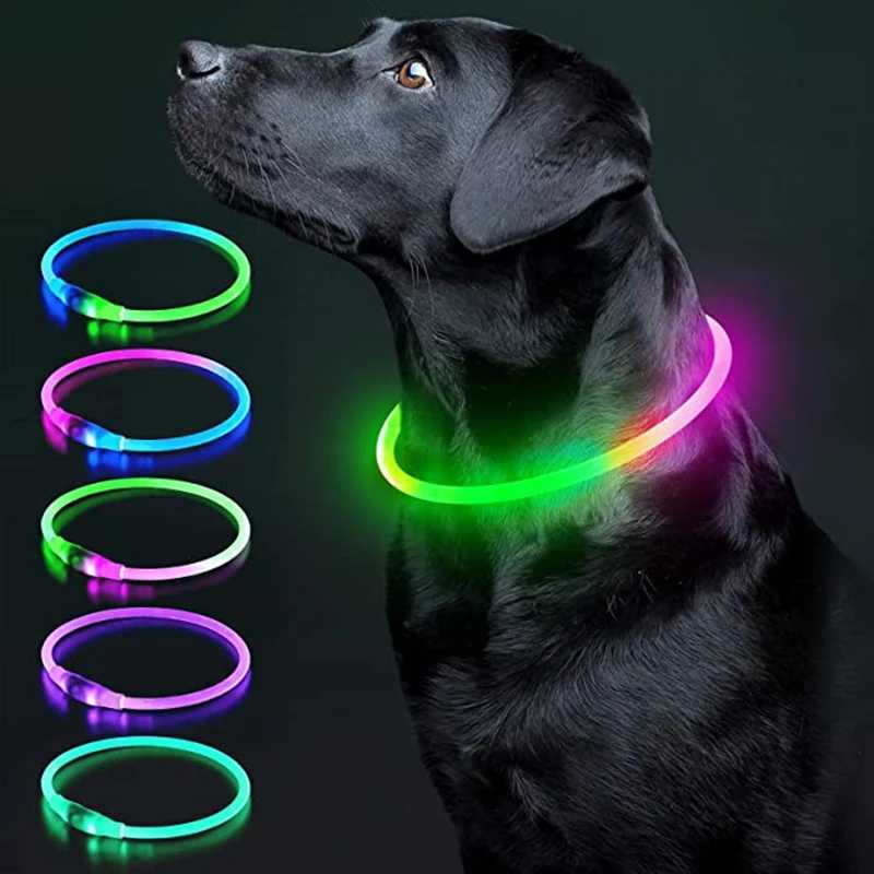 Luminous Dog Collar Light Charge Cat Necklace Led Fashion Flashing DIY Glowing Safety Collar for Dogs Nighttime Pet Accessory W250219