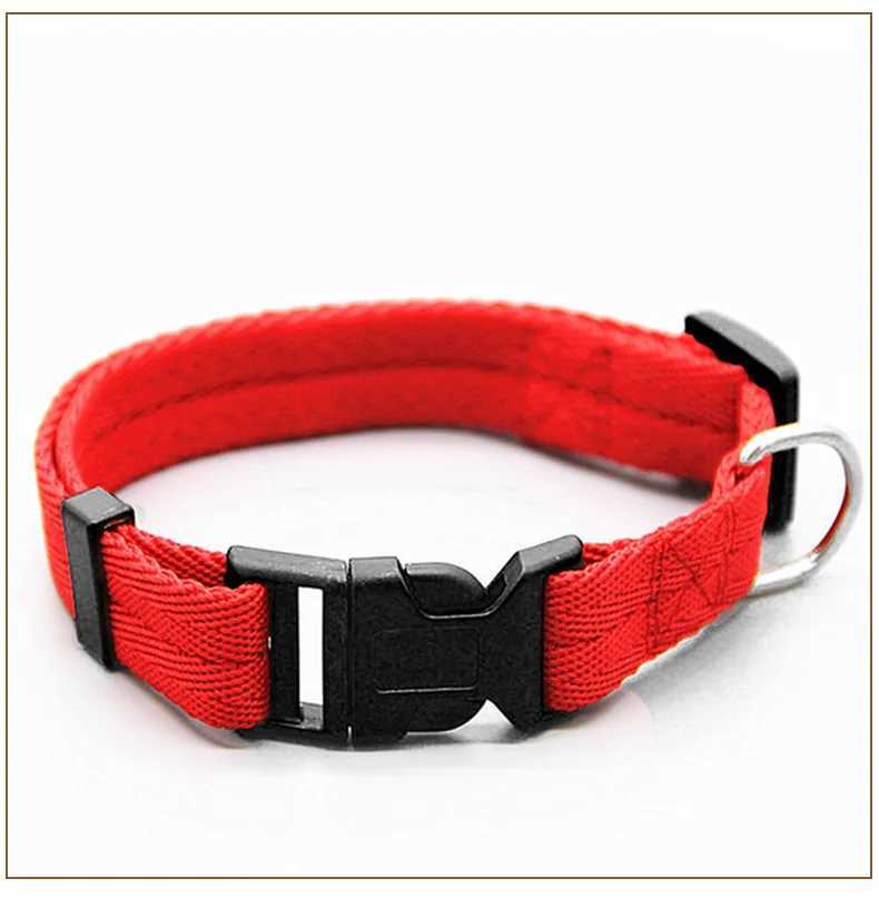 Pets Nylon Adjustable Dog collars for Small Medium Large Necklace Puppy Accessories Pug Bulldog golden retriever things for dogs W250219