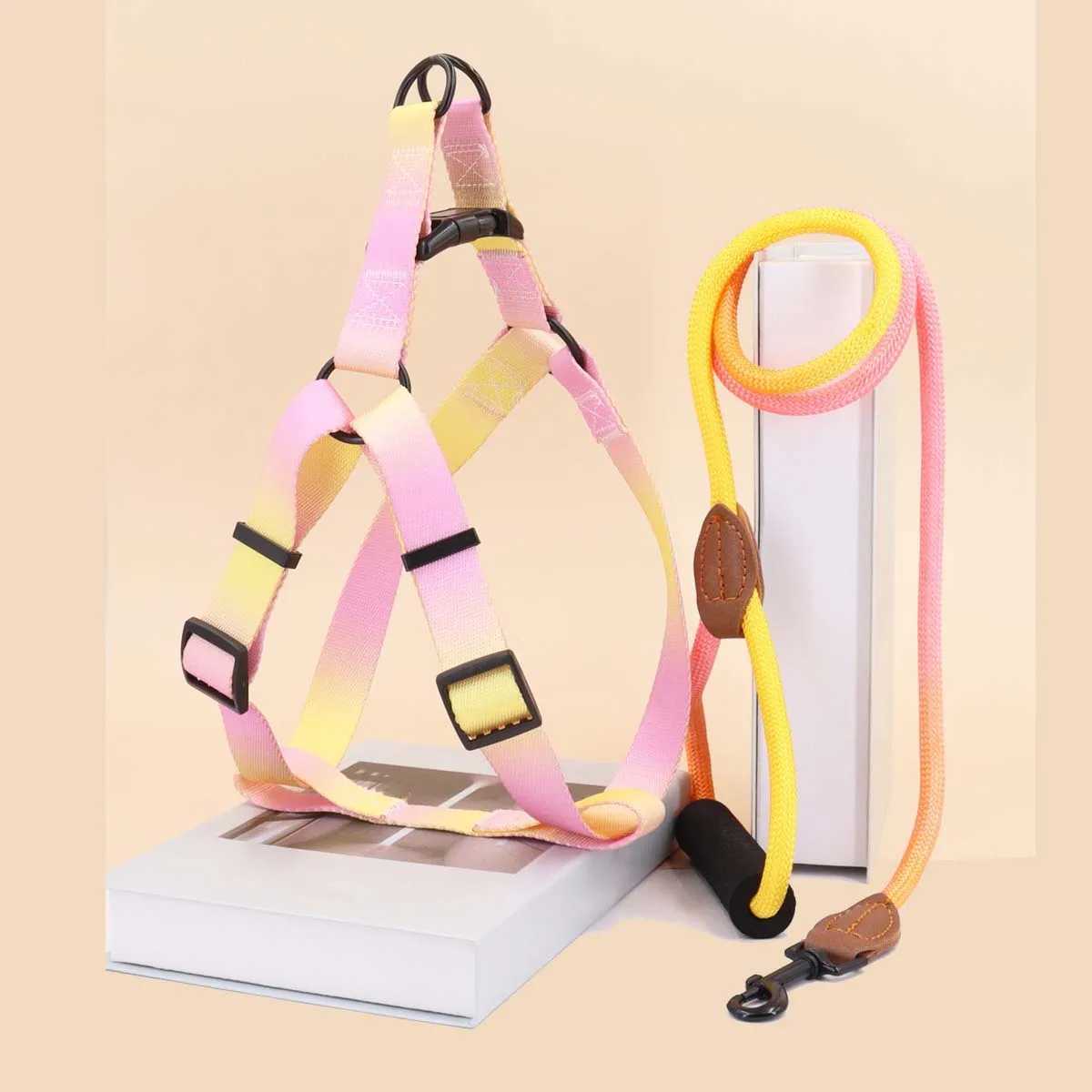 A set of colorful pet harness with leash and dog leash for indoor and outdoor useXJ250218