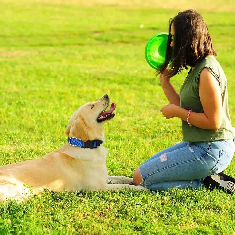 Nylon Dog Collars with Adjustable Pet Dog Collar for Puppy Small Medium and Large Dogs Soft Comfortable Pet Training Collar W250219