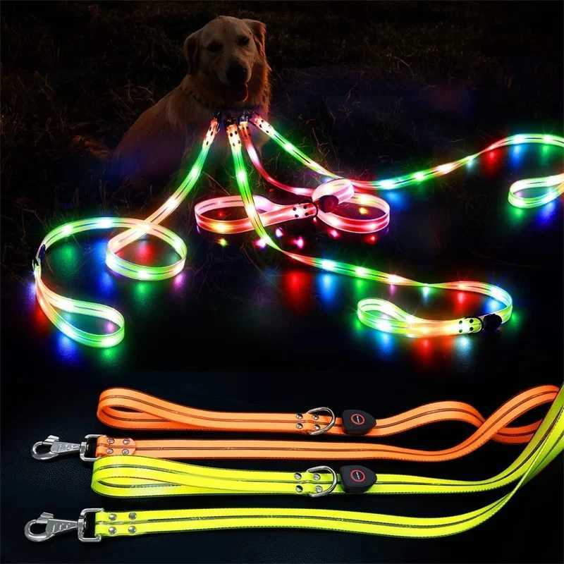 Led Light Up Dog Leash Walking Safety Glow in The Dark USB Rechargeable Adjustable for Large Medium Small Pet Lighted Dog CollarXJ250218
