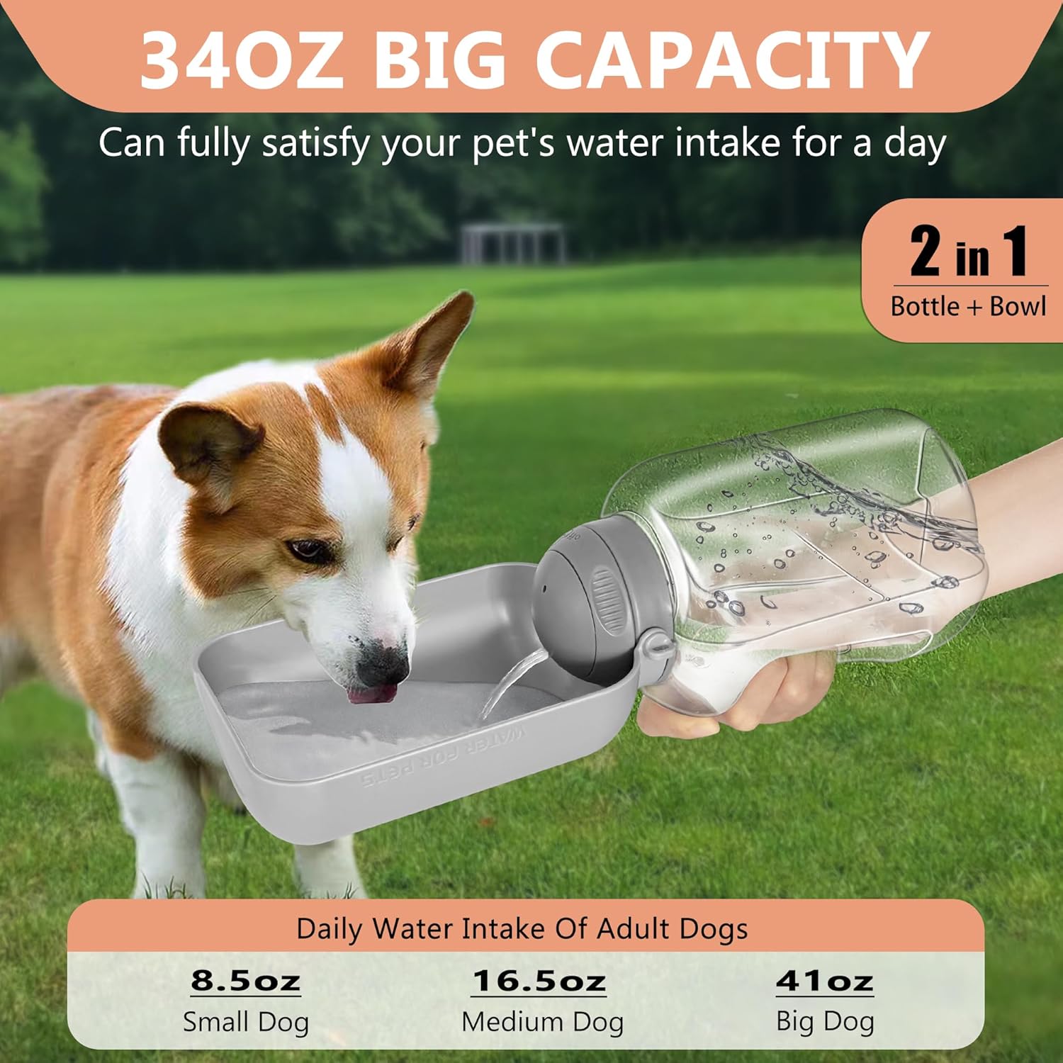 Leak-Proof Portable Dog Water Bottle - 50oz & 34oz Options with Detachable Drink Bowl for Outdoors