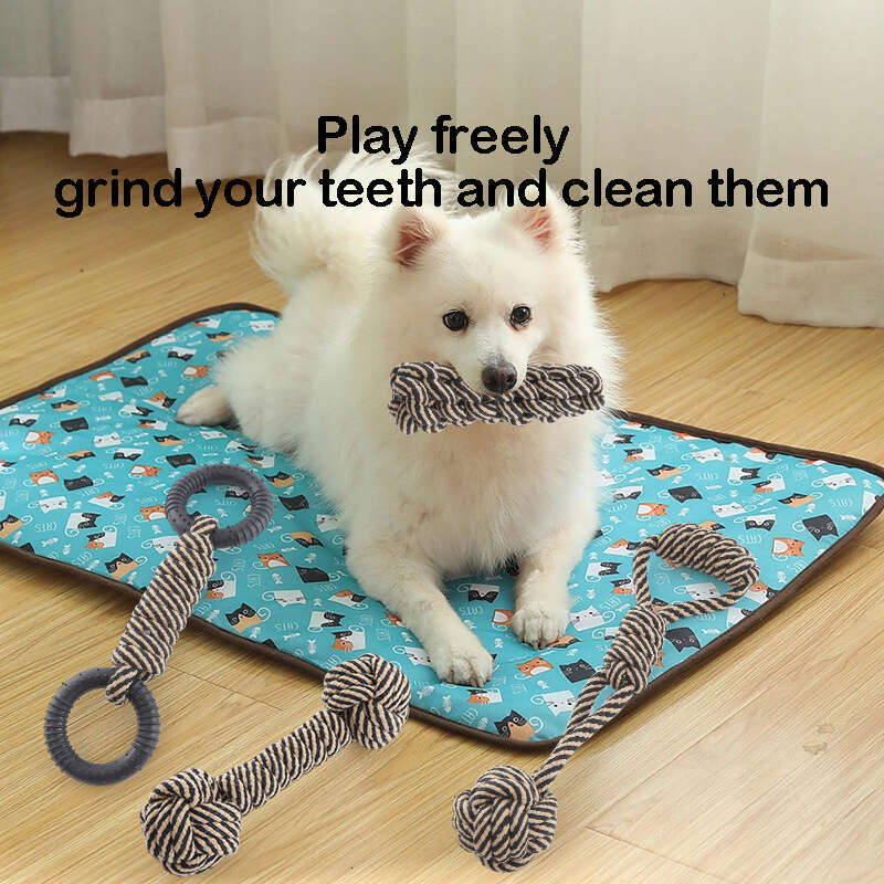 DHpet Dog Rope Toy for Active Chewers Heavy Duty Rope Toy for Small Breed Washable Chew Toys Tug of War Dog Toy Pack of 6 Puppy Teething Toys
