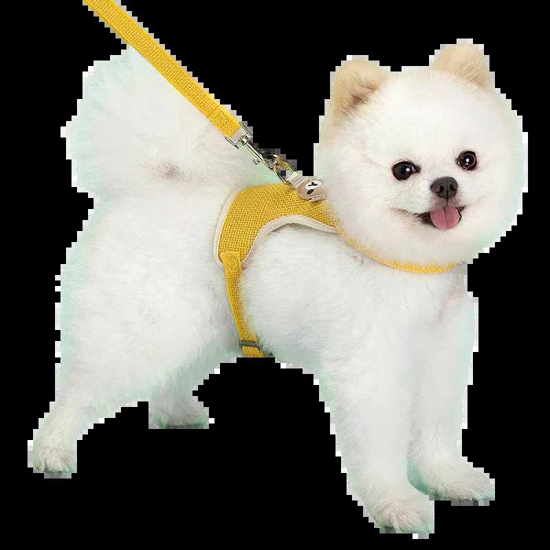 Cute Pet Harness Leash Set for Small Mid Dogs Cat Walking Lead Chihuahua Bunny Vest Harness Poodle Collar Leash Dog AccessoriesXJ250218