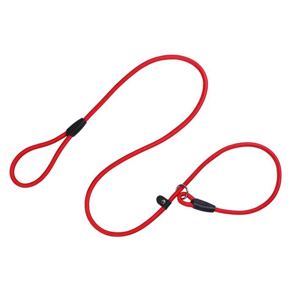 Slip Lead Dog Leash for Puppy Pet Small Dogs Training and Walking Nylon Rope Leash Anti-Choking P-sharped Dog Slip Chains CollarXJ250218