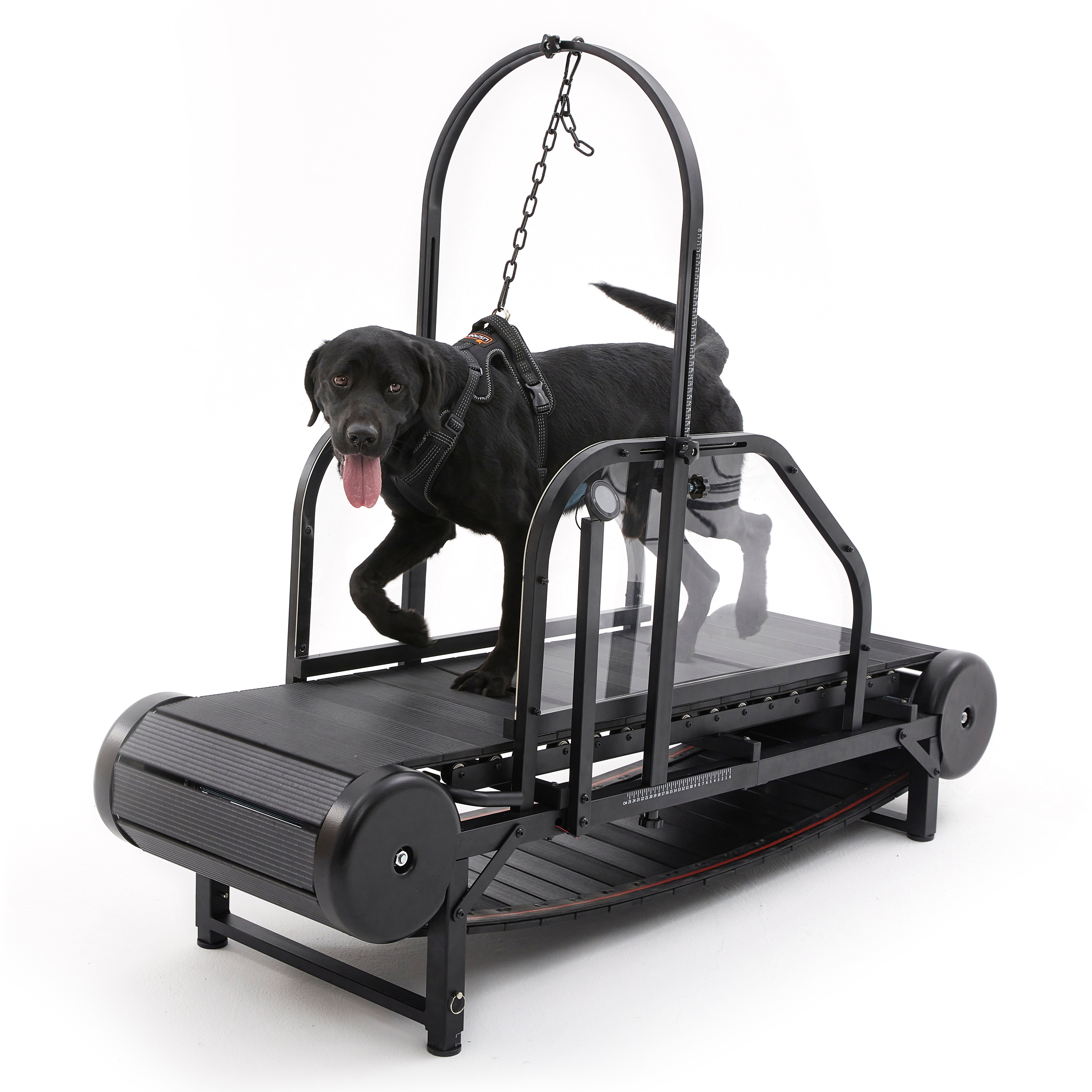 Larger Non-electric Equipment Dog Apparel Heavy Duty Running Fiess Treadmill Walking hines Unpowered Run Pet Dogs