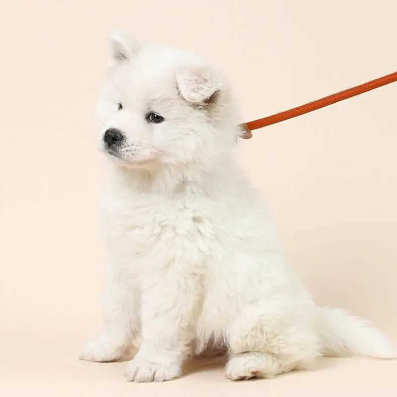 Dog Slip Lead Anti-Wear Comfortable Slip Leashes Training 1.5m Woven Lead Rope Dog Accessories For Dog Walking Training RunningXJ250218