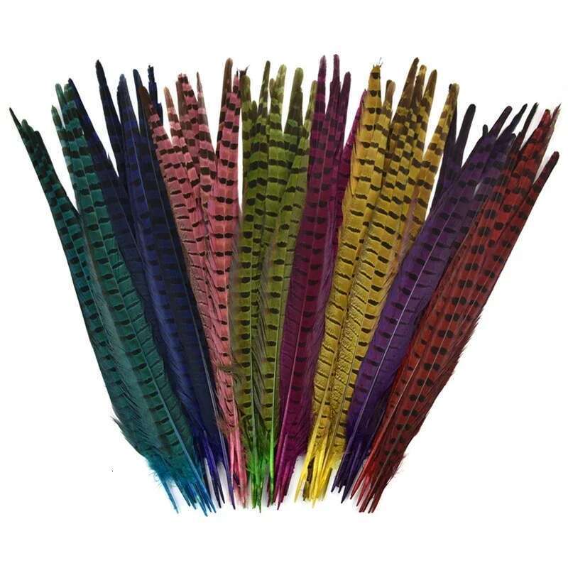 10 Pezzi Colorati Naturali Color Piume Lunghi Piume Di Fagiani Per Artigianato Vestiti Per Decorazioni Grandi Cappelli Da Piuma-image